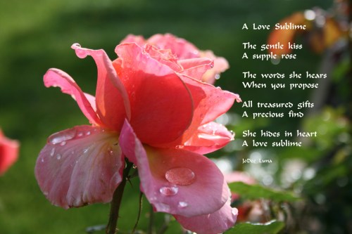 I combined this photograph and a poem I wrote as a wedding shower gift for my niece, Rebekah