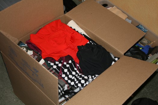 Elya's sorting of her possessions