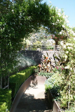 Trellis at the Getty