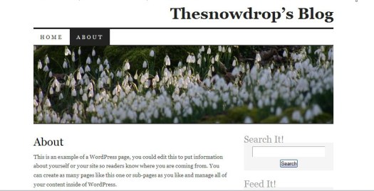 The Snowdrop Blog