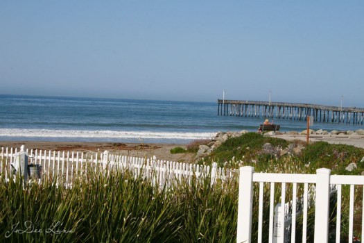 Cayucos Beach Scene