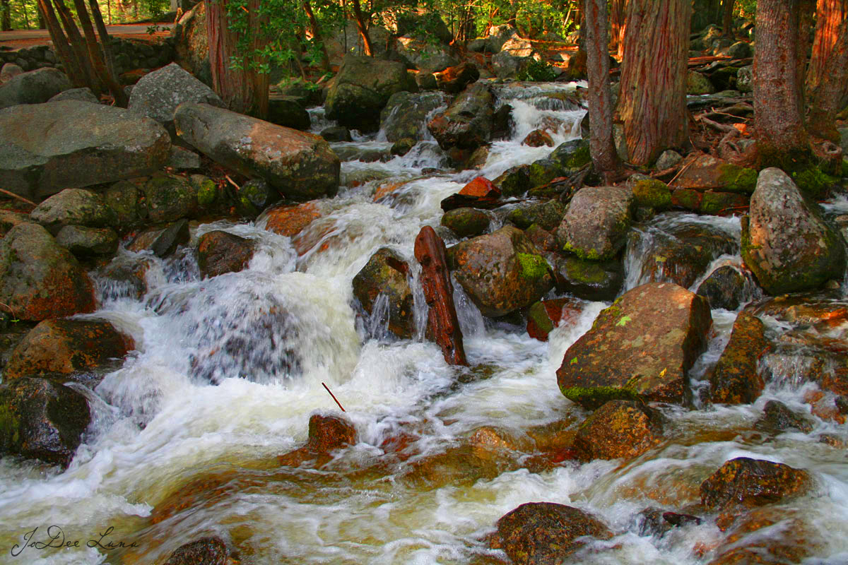 Yosemite Stream
