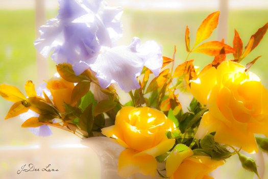 purple iris, yellow roses